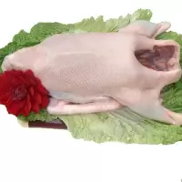 鹅肉新鲜大鹅整只白条真空大白鹅活 土鹅农家散养草鹅 一只大白鹅(6-7斤)