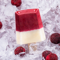 钟薛高杨梅奶冰75g