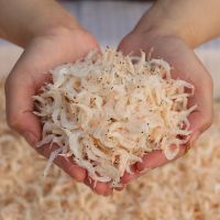 新鲜 小虾米 海米海鲜水产干货