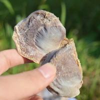 江西赣南风干鸭胗鸭肫鸭肾咸鸭肫腊鸭胗鸭庆鸭珍农家腌制腊味