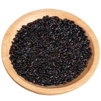 东北新黑米香米糙米五谷杂粮粗粮散装农家自产黑米粥 5斤黑米