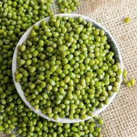 绿豆农家自产小绿豆新鲜豆芽笨绿豆绿豆糕五谷杂粮粥