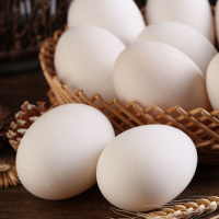 12枚装 鹅蛋新鲜双黄蛋农家散养生鹅蛋咸批发正宗山东特大土鹅蛋