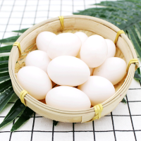 鸽子蛋 30枚鸽子蛋[装] 新鲜鸽子蛋农家散养信鸽蛋白鸽蛋
