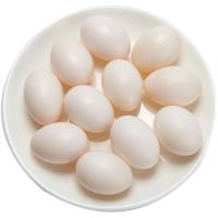 精选白鸽蛋60枚装 新鲜鸽子蛋杂粮白鸽蛋精选农家散养信鸽蛋顺丰