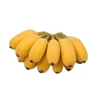 苹果蕉带箱十斤[净重九斤]广西苹果蕉小米蕉新鲜水果香蕉水果批发香蕉 批发