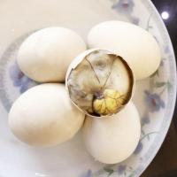 活珠子鸡胚蛋毛蛋凤凰蛋钢化蛋非毛鸡蛋旺蛋批发 [熟]13天活珠子 40枚装