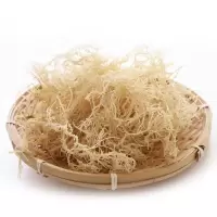 龙须菜干货凉拌菜海产海草海石花菜海藻一斤鹿角菜海发菜 8成干龙须菜二斤