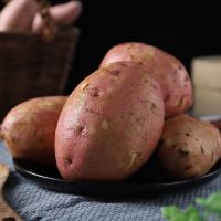 黄心地瓜板栗红薯新鲜红蜜署超甜糖心番薯 五斤大果