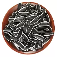 2020生瓜子大粒新货批发散装小包装小袋原味瓜子现炒熟