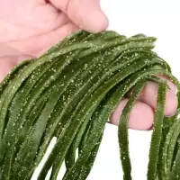 当季新货盐渍海带丝整箱批发海菜凉拌小菜火锅1斤3斤