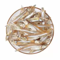 小鱼干海燕鱼白饭鱼白帆鱼海鲜干货银鱼丁香鱼咸鱼干水产
