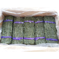 干海带丝毛重5斤绿色昆布丝凉拌菜