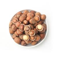 2020东北新鲜榛子新货小榛子东北特产炒熟坚果500g