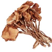 茶树菇干货古田不开伞未开伞煲汤食材菌菇类新货