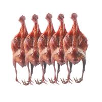 肉熟食烟熏肉制品熟食真空自制风干烟熏柴火腌腊5只