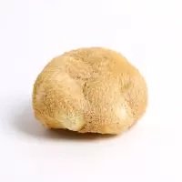 古田农家自产新货猴头菇干货500g菌菇类土特产