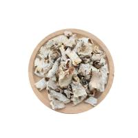 羊肚菌脚柄500g干货云南特产新鲜羊肚蘑羊肚菇菌菇类礼盒