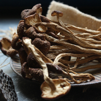 茶树菇干货250g古田农家不开伞新鲜食用菌菇煲汤类食材茶薪菇