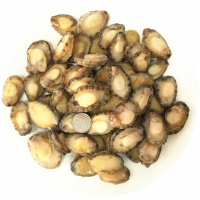 大鲍鱼肉500g40-60个鲜活新鲜冷冻酒店海鲜食材去内脏