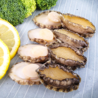 新鲜鲍鱼肉海鲜水产冷冻 鲍鱼去壳去内脏1斤装21-25个深海鲍鱼