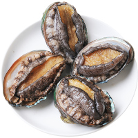 青岛新鲜鲍鱼鲜活海鲜冷冻生鲜 水产即食生冻 鲍鱼特大10头