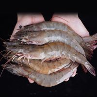 3斤[15-18cm] 新鲜青岛大虾 海虾海鲜水产鲜活活虾冷冻白对虾基围