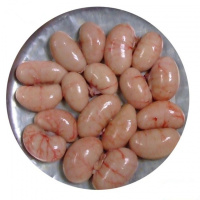 鸡腰子[顺丰]2斤毛重装新鲜鸡肾鸡卵鸡子鸡宝鸡春