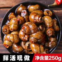 香辣炒田螺即食螺丝肉海鲜零食唆螺泥螺鲜活熟食麻辣螺蛳