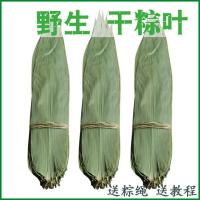 粽子叶棕叶子干粽叶子新鲜粽叶批发大粽叶包粽子箬叶非芦苇叶