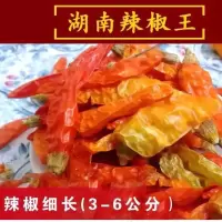 小米椒黄干批发辣椒王魔鬼椒野山椒农家自产火锅调料 辣王整个250克 (半斤)
