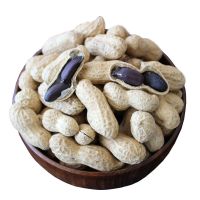 新黑花生云南富硒黑花生 农家自产晒干带壳紫花生半斤五谷杂粮