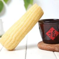 东北甜糯粘玉米黏苞米黄白黑色糯玉米混搭 8根 (4白糯+4黄糯)
