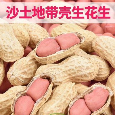 2021新货炒花生原味炒熟花生农家柴火铁锅花生晒干生花生带壳花生