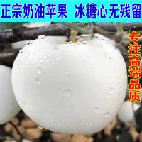 [奶油苹果]冰糖牛奶鲜平果黄金奶油富士苹果花牛批发