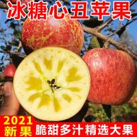 冰糖心丑苹果四川大凉山苹果水果新鲜超甜红富士苹果批发