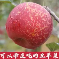正宗冰糖心丑苹果水果新鲜应脆甜红富士5/10斤整箱批发价