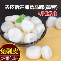 湛航 [去皮马蹄2斤]去皮荸荠大马蹄地栗新鲜水果蔬菜削皮马蹄荸荠1斤[11月13日发完]