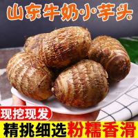 湛航 山东新鲜芋头新鲜蔬菜小芋头毛芋头香芋农家自种芋头芋艿非荔浦芋