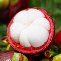 湛航 新鲜山竹水果 大果当季水果