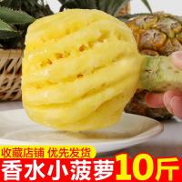 湛航 香水小菠萝新鲜水果迷你菠萝徐闻脆甜菠萝批发非凤梨