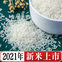 大米丝苗米长粒大米新米香米装香米长粒米米
