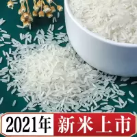 大米丝苗米长粒大米新米香米装香米长粒米米