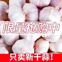湛航 2021年新干蒜大蒜头干蒜批发紫白皮大蒜1/3/5/10斤