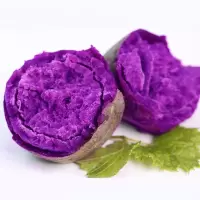 湛航 [紫薯]新鲜沙地紫薯番薯粉糯香甜板栗红薯地瓜蜜薯蔬菜批发