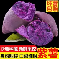 湛航 [香甜粉糯]沙地紫薯批发板栗番薯地瓜红薯新鲜蜜薯蔬菜2/5/9斤