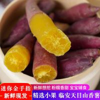 湛航 临安天目山小香薯新鲜红薯正宗板栗小番薯地瓜山芋蕃薯