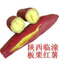 湛航 新鲜红薯陕西沙地板栗红薯白黄心番薯新鲜地瓜香薯