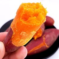 湛航 沙地板栗红薯新鲜红蜜薯蔬菜番薯地瓜批发价