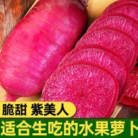 湛航 紫美人水果萝卜潍坊萝卜沙窝萝卜甜脆型红心里美凤梨萝卜
